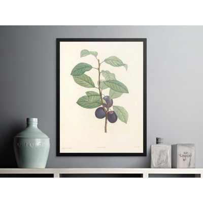 Phyllida Floater Frame Print