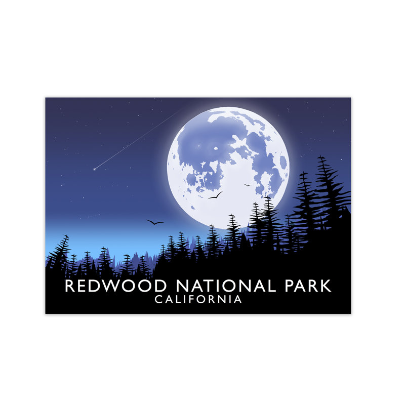 Redwood National Park California 1 Piece Wall Art, 21 cm H x 29.7 cm W