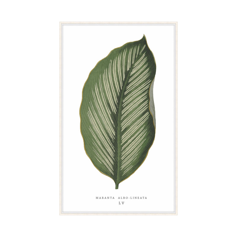 Green Trace 4 Print by Studio L57 Nouvelle, 22.6" H x 14.6" W