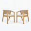 Chaise de salle à manger d'extérieur (ensemble de 2)