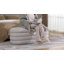 Banc Cullinan SCullinange-1979654498