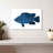 Brampt Navy Fish-106045954