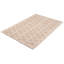 Tapis unique rectangulaire 5 pi 1 po x 7 pi 5 po Brailen