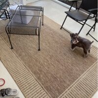 Alegre Bordered Power Loomed Tan Indoor/Outdoor Rug Gracie Oaks Rug Size: Rectangle 9'6 x 12