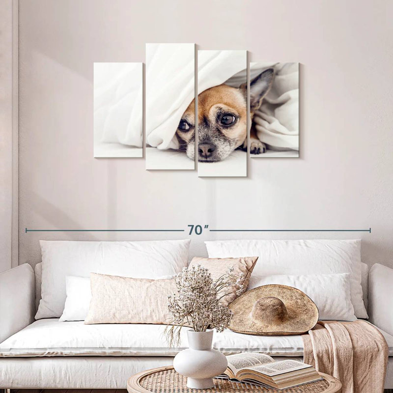 Brampt Despondent Chihuahua Dog