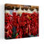 Close-up of bunches of chilli peppers hanging on a stall Taos New Mexico USA 1 Piece Wrapped Canvas Wall Art-1947625173