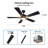 Briyan Ceiling Fan with LED Lights-1619148399