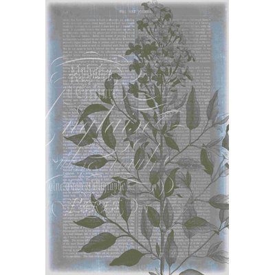 Fleur de bleu I