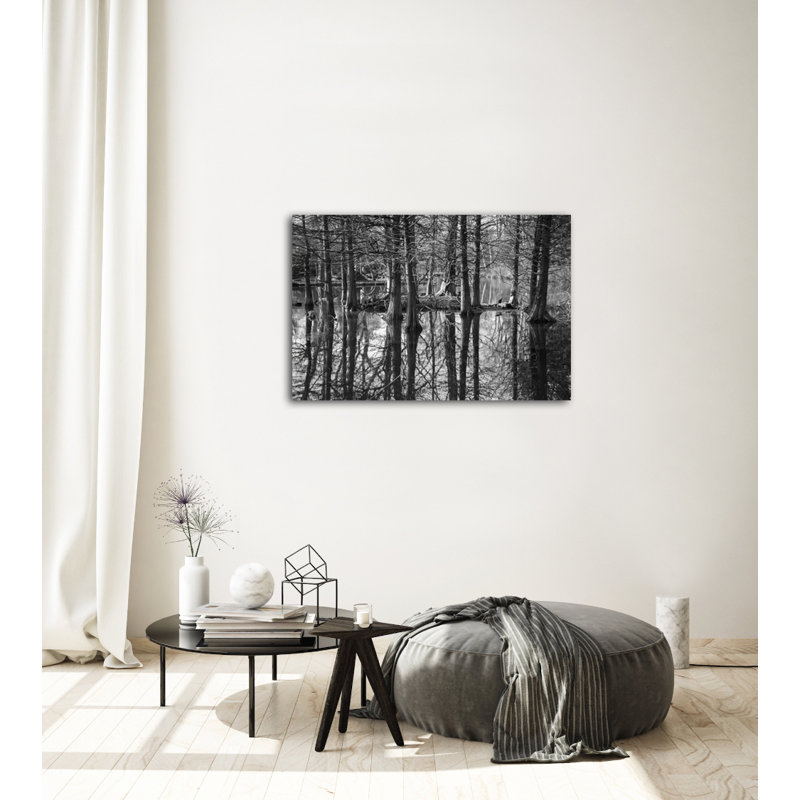Marais - reproduction de photo sur toile tendue, H 16 po x l 20 po x P 1 po