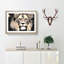 Lion - Picture Frame Graphic Art Print-56859969-56859974