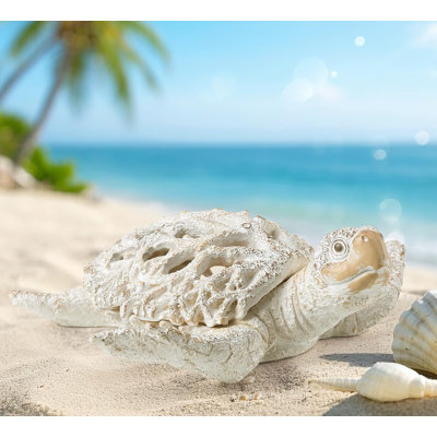Tortue de mer blanche, corail, corail, océan