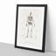 Human Skeleton by Charles dOrbigny - Framed Print-55579173-55579177
