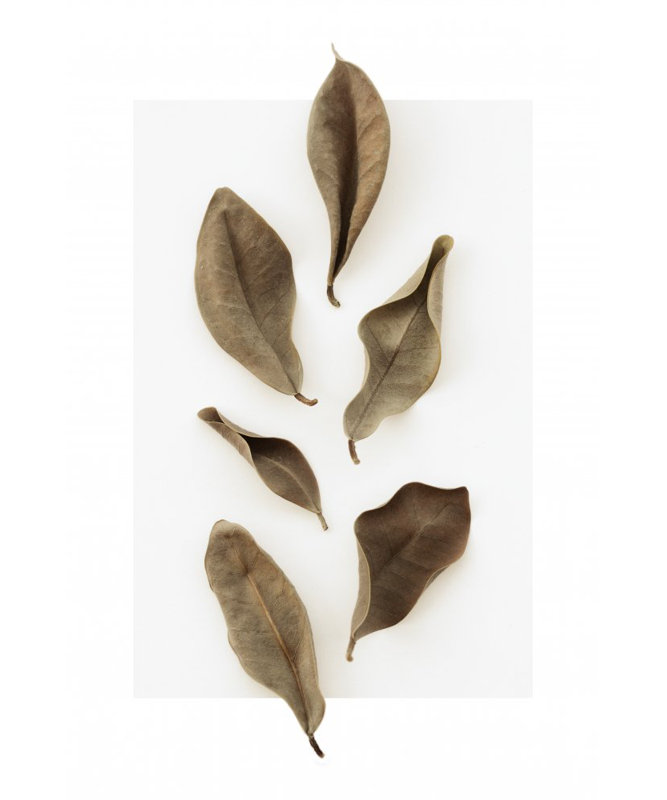 Wrapped Canvas Print, 91.44 cm H x 60.96 cm W