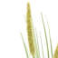 Arrangement-1856372211