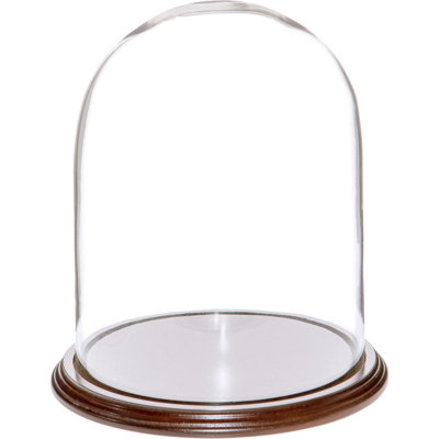 Jenett Glass Display Dome Cloche