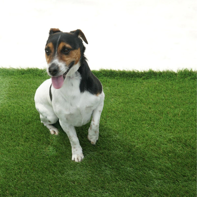 Bricola 20mm Pet-Friendly, Synthetic Artificial Grass for Patio-3m (9'9") x 2m (6'6") - 6m²