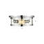 Transitional 2 Light Round Flush Mount-1446829832