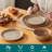 Mcfall 12 Piece Porcelain Dinnerware Set, Service For 4-117618129