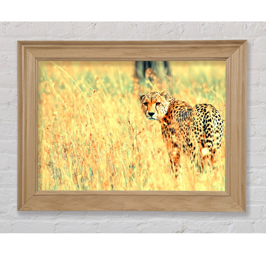 Beautiful Cheetah - Bilderrahmen Kunstdrucke