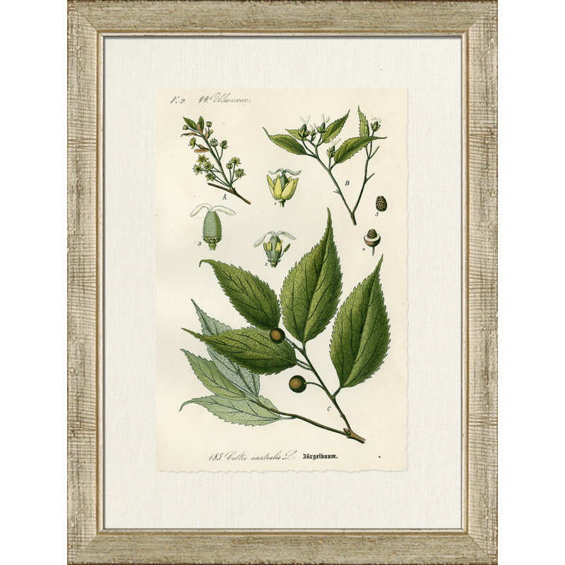 Burgelbaum - Cadre photo, impression sur papier