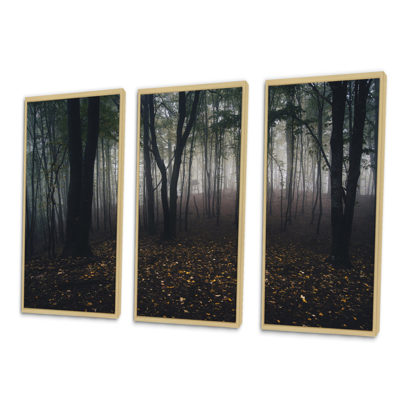 «Dark Spooky Misty Wild Forest», ensemble d'art mural sur toile encadré forêt, H 32 po x l 48 po, Naturel