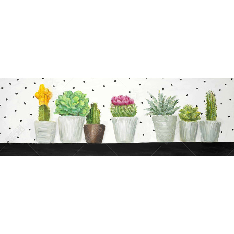 " Mini Cactus And Succulents "