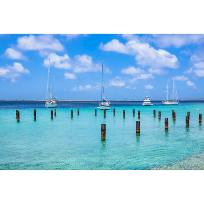 Bonaire by Orietta Gaspari