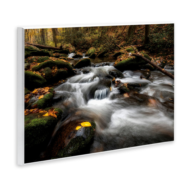 Fallen Leaves on Stream Wall Plaque, design by D. Burt, 13" H x 19" W