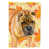 Shar Pei blond sélectionné
