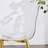 Seaneen Side Chair-1485545876-1533038361-1532755067