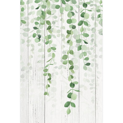 Feuilles d'eucalyptus suspendues, verdure fraîche