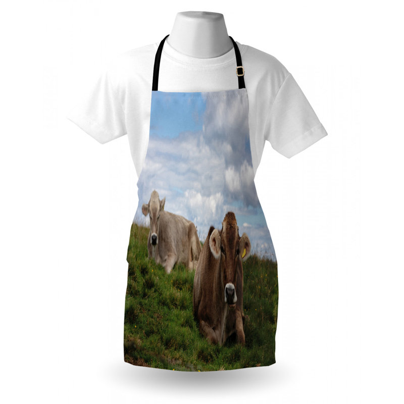 Bib Apron