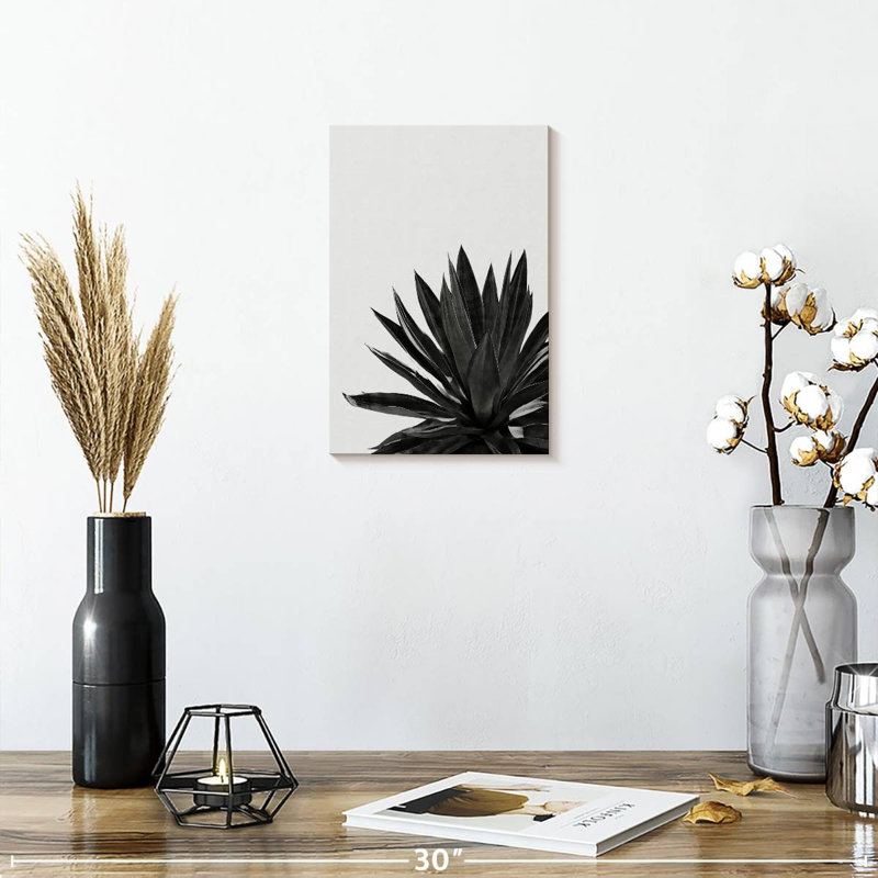 Harnek Agave Cactus BW, H 12 po x l 8 po