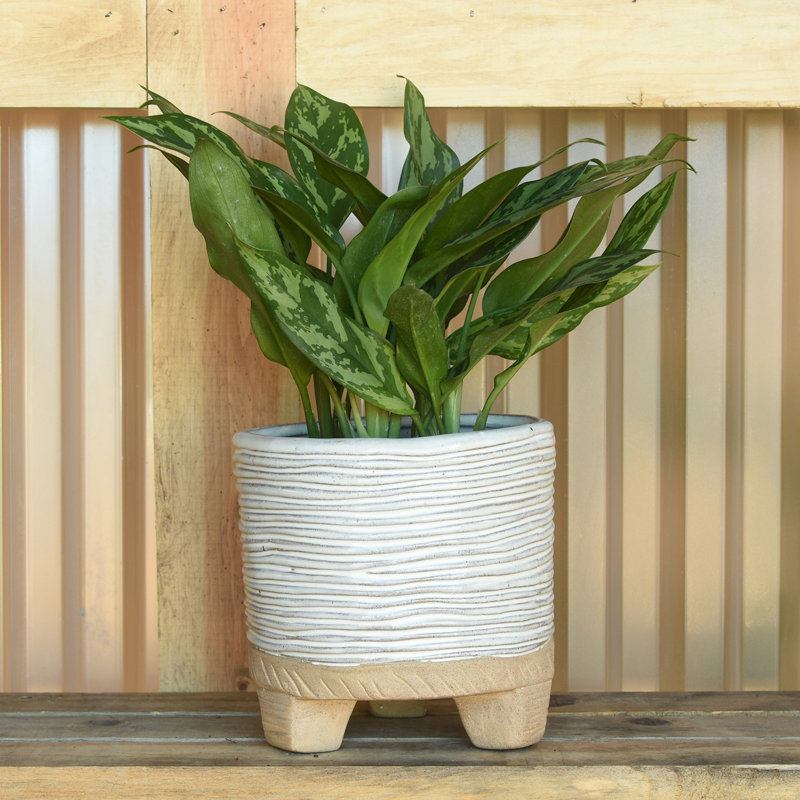 Winkler Handmade Ceramic Pot Planter