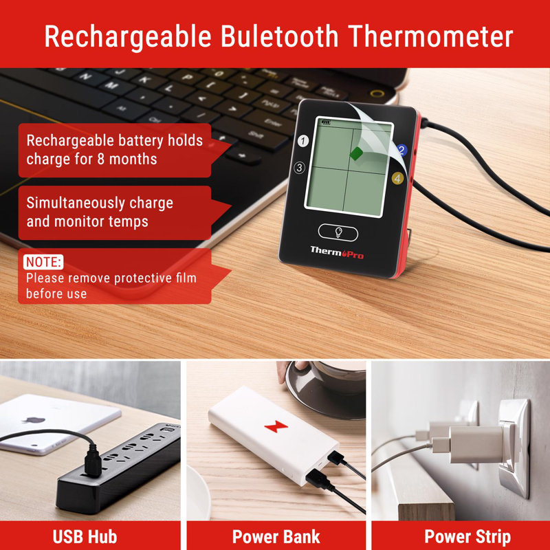 ThermoPro Thermometer