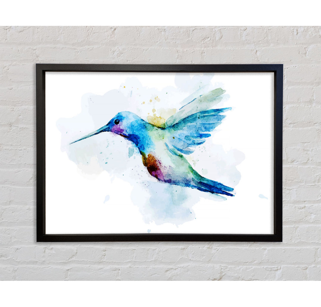 Hummingbird Splash - Einzelner Bilderrahmen Kunstdrucke auf Leinwand