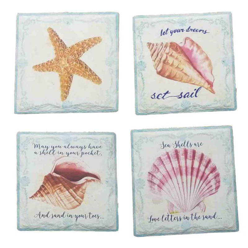 Ensemble de 4 coquillages et une étoile de mer
