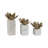 3-Pieces Kriss Flower Statuary With Marb-2119468880