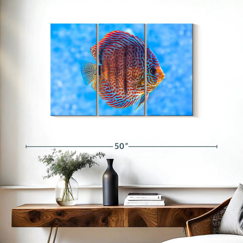 Brampt Freshwater Discus Fish, 24" H x 38" W