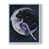 Blue Single Picture Framed is unavailable