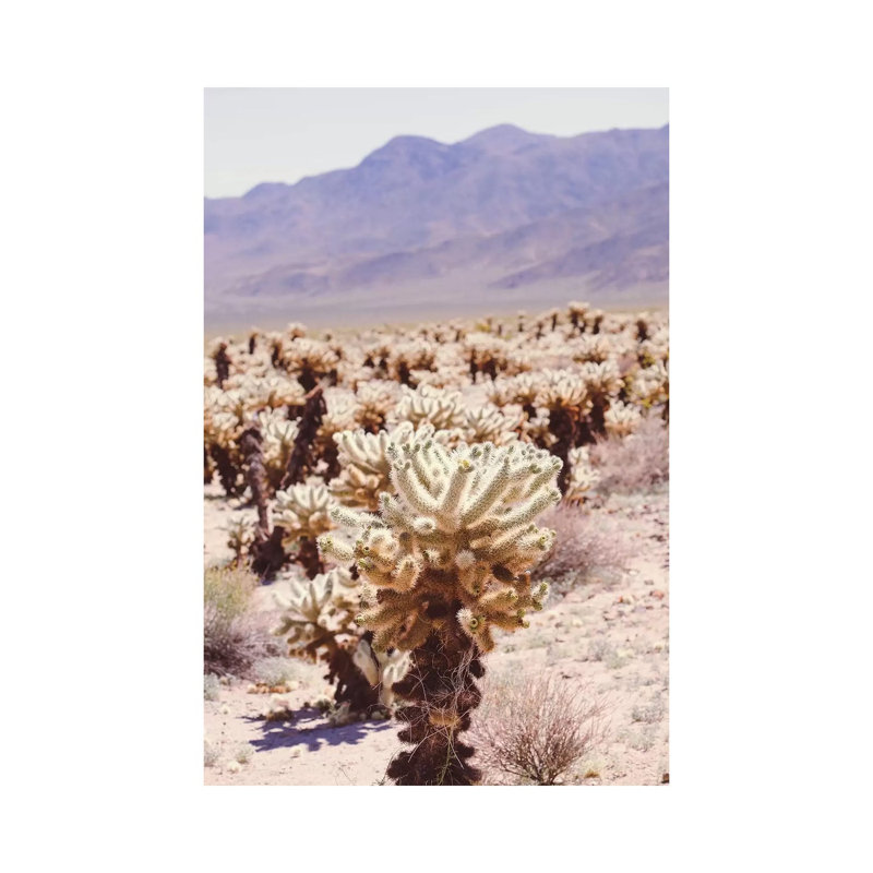 Joshua Tree IV by Ann Hudec - Wrapped Canvas Print, 66.04 cm H x 45.72 cm W x 1.91 cm D