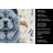 Blue Chow Chow Coffee Bar Kitchen Towel-1168063318