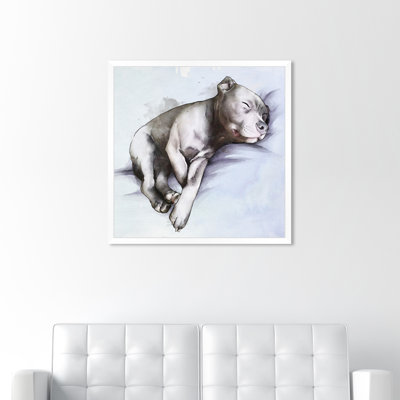 " Animals Sleeping Pitbull Dogs And Puppies "