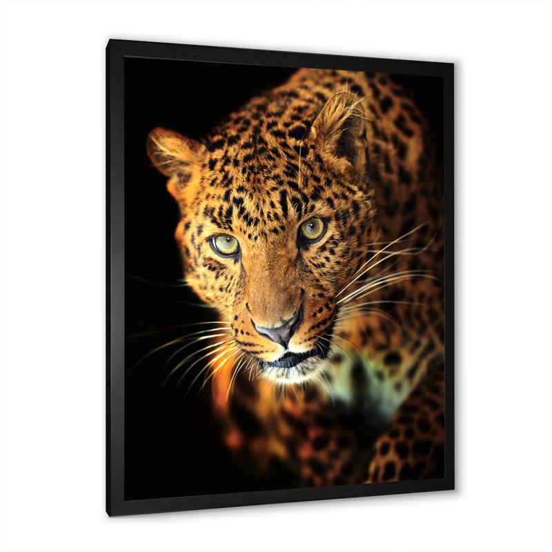 Portrait d'un léopard - reproduction sur toile, H 32 po x l 24 po, Cadre photo noir