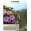Metal Planter-182333134-182333135