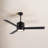 52'' Ceiling Fan with LED Lights-1310493163