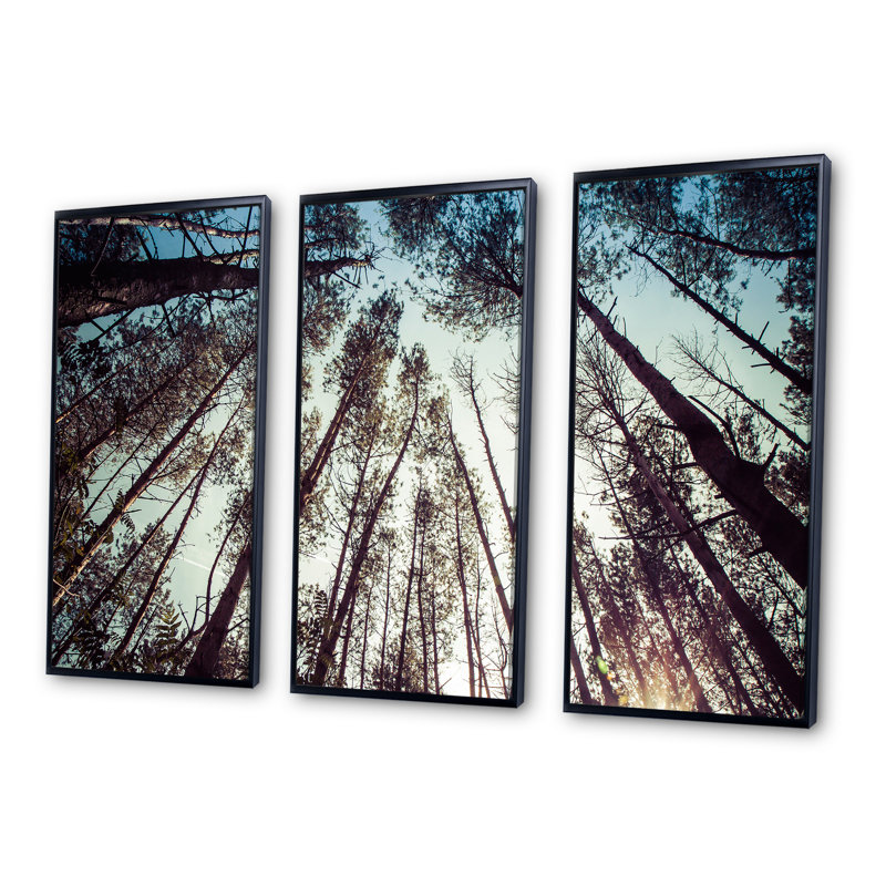 High Forest Trees and Blue Sky - ensemble d'art mural sur toile traditionnel encadré de 3, H 32 po x l 48 po x P 1 po, Noir