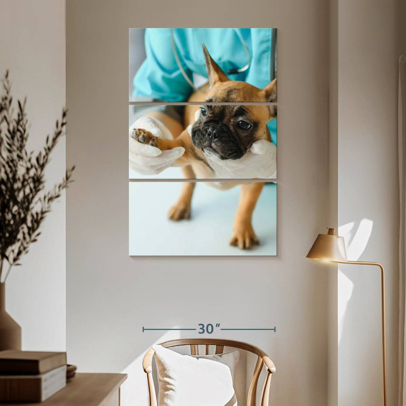 Pet Care, 65" H x 42" W