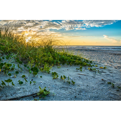 " Beach Sand Dunes "