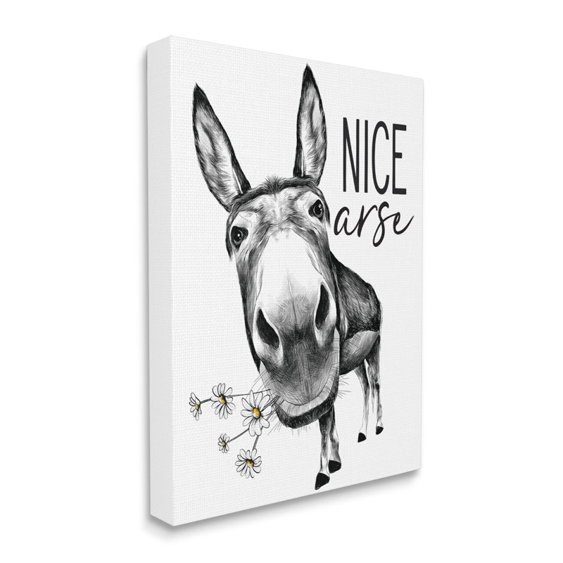 «Nice Ass», drôle d'âne, jeu de mots «Daisey» blanc avec lettres et lignes - impression, H 30 po x l 24 po, Toile tendue